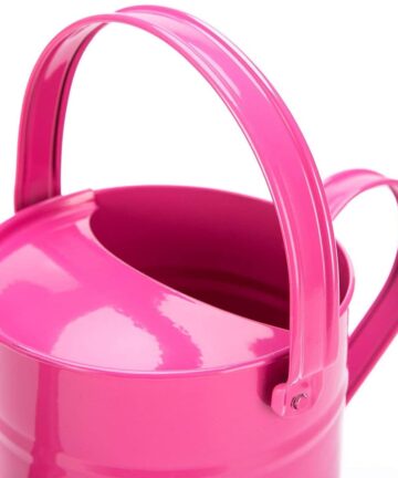 Metal Watering Can 1.5 L 4