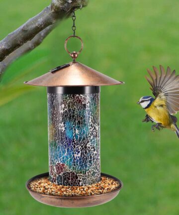 Outdoor Solar Lantern  Bird Feeder  2