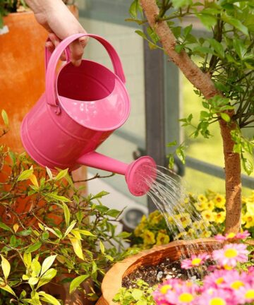 Metal Watering Can 1.5 L 6