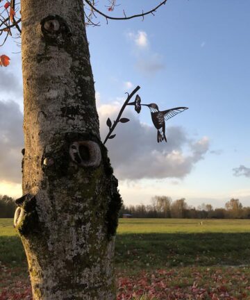 Hummingbird Bird Metal Outdoor Sculpture 5