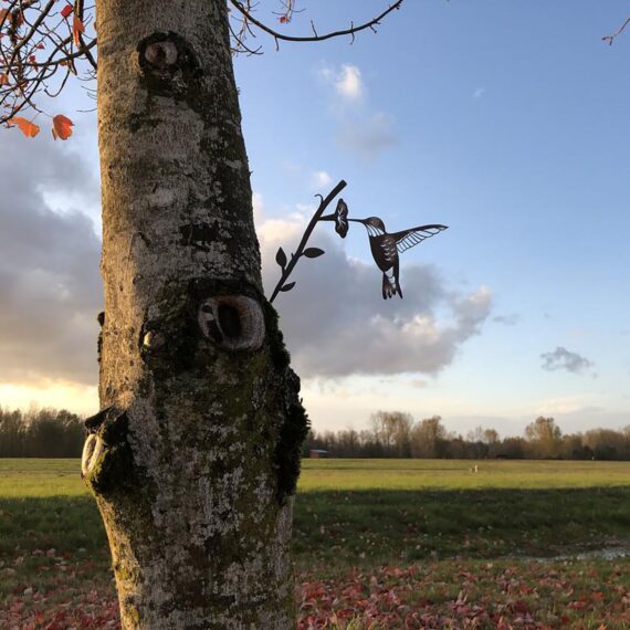 Hummingbird Bird Metal Outdoor Sculpture 5