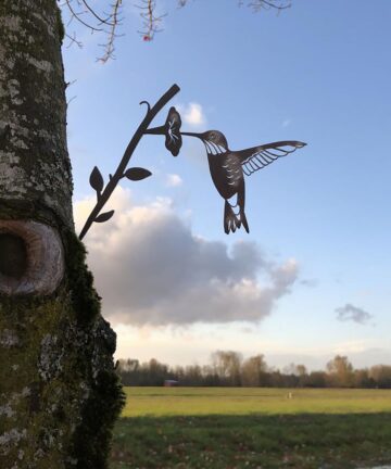 Hummingbird Bird Metal Outdoor Sculpture 6