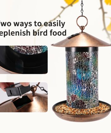 Outdoor Solar Lantern  Bird Feeder  4