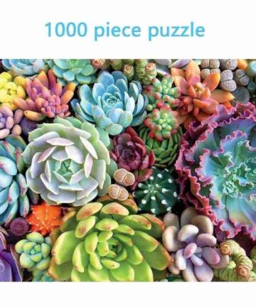 Jigsaw Puzzle 1000 Piece Succulent Plants 1