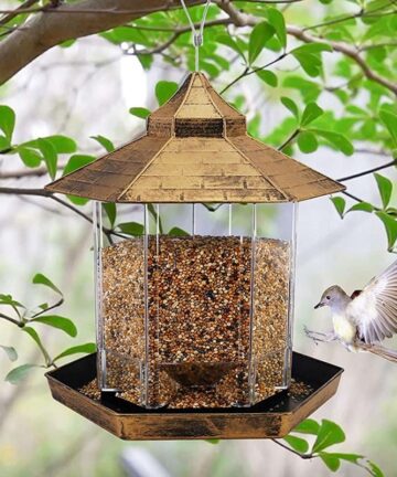 Bird Feeder Outdoor Hanging  2